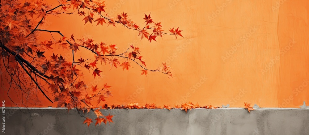 Poster An orange wall is graced by the delicate gray shadows of maple tree leaves creating an abstract autumn background The overlay effect adds depth and emphasis to the image Ample copy space is provided