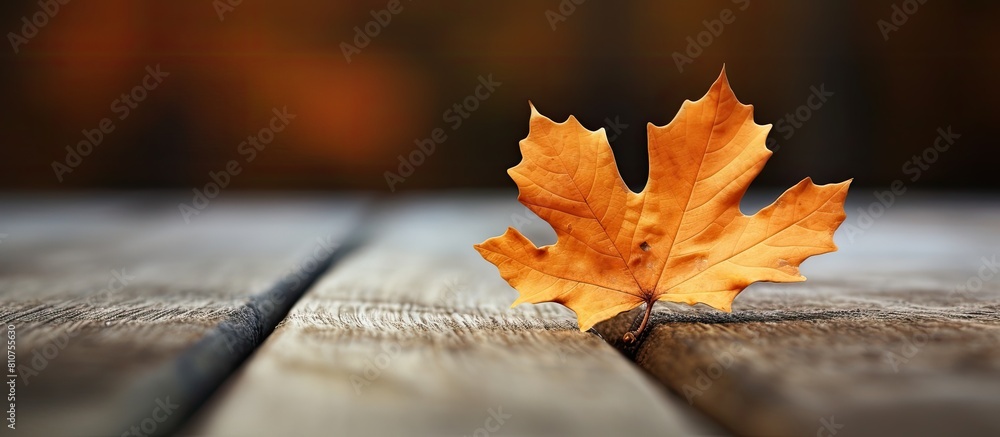 Poster autumn leaf placed on a wooden surface creating a visually pleasing composition with empty space for