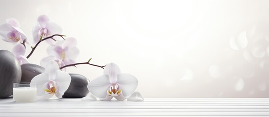 A serene spa ambiance with a white background perfect for capturing stunning copy space images