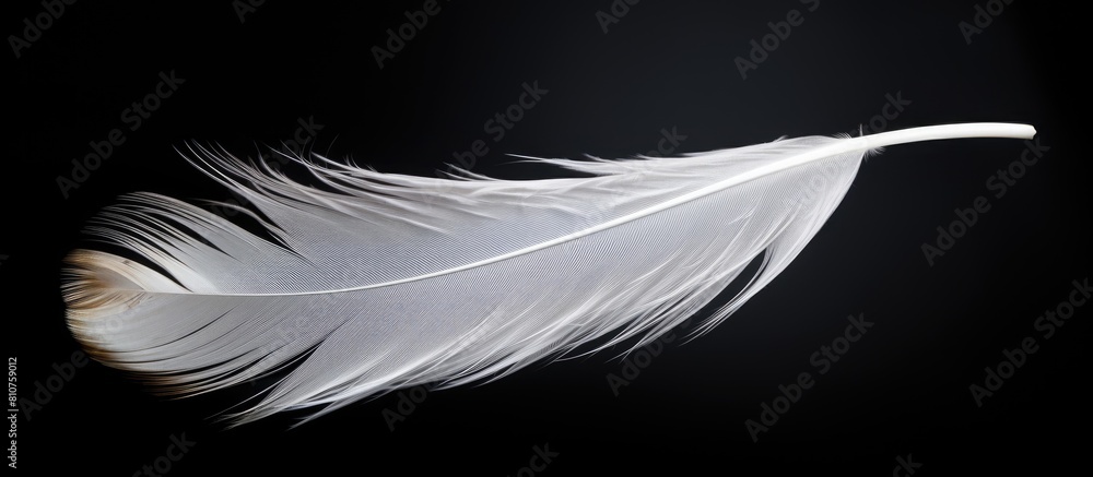 Poster a stunning white feather gracefully floats in the air standing out against the black background with