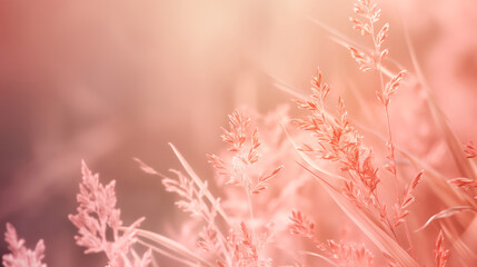 Fototapeta premium Beautiful peach fuzz art design background with beige, peach and pink rose colors. Color of the year wallpaper.