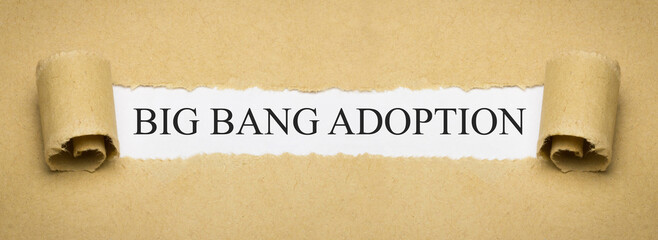 Big Bang Adoption