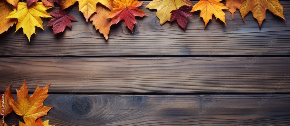 Poster Top view of autumn leaves arranged in a flat lay composition on a wooden background creating a visually appealing copy space image