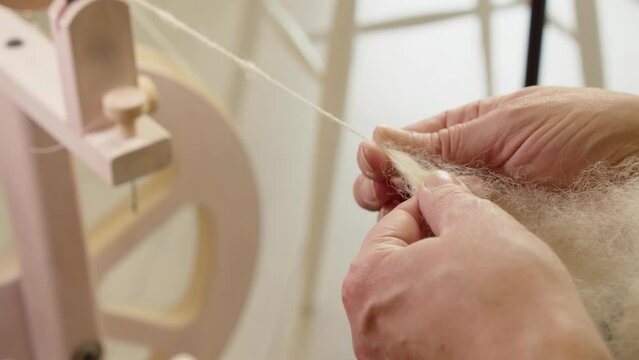 Close up hands pull natural wool fiber as it feeds into spinning wheel