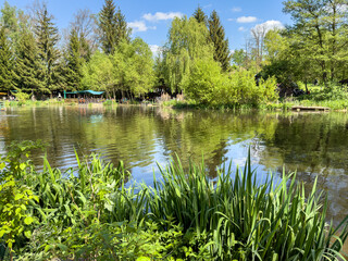lake in the forest in the vogtland,saxony germany