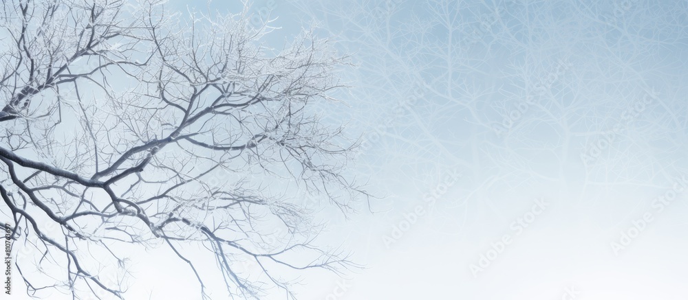 Poster a copy space image that captures the serene beauty of winter showcasing the intertwining branches of