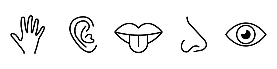 Human sense icon set. Five human senses icons. Sight smell hearing touch taste. Eye, nose, ear, hand, mouth with tongue sign. Vector Illustration.