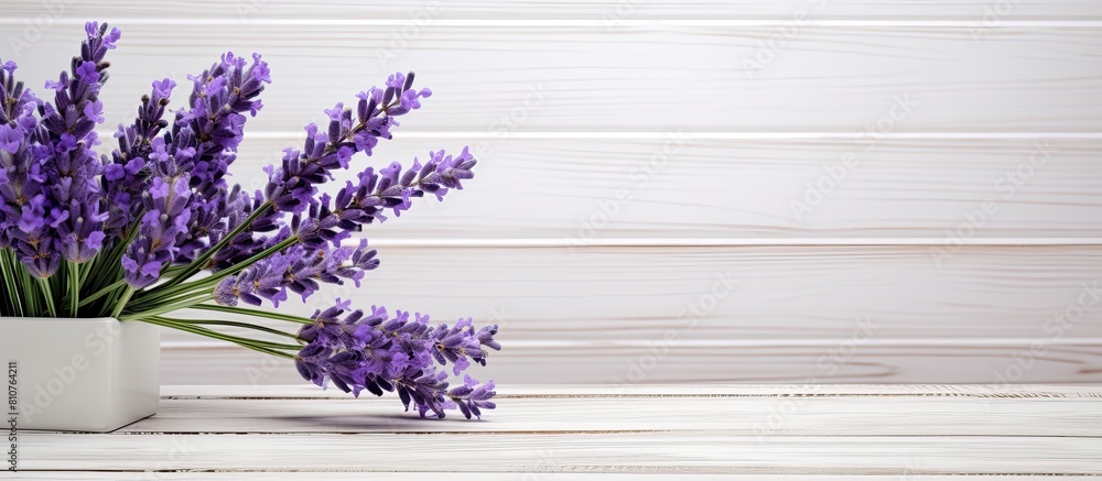 Poster a copy space image showcases a lavender flower in vibrant purple beautifully displayed on a rustic w
