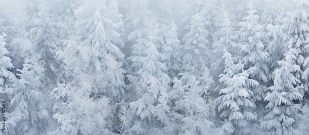 Poster snow covered christmas tree branches with a textured appearance in the snow the image serves as a ba
