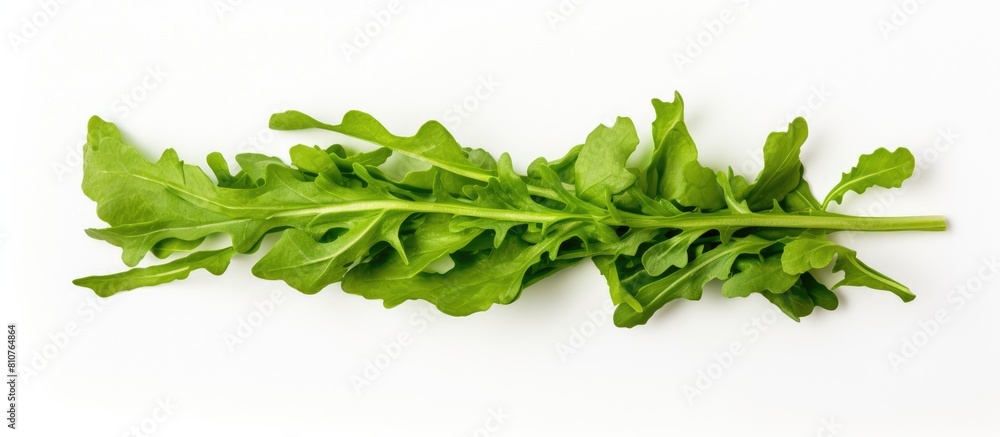 Poster Top view of a rucola or arugula leaf isolated on a white background creating a flat lay pattern with ample copy space for your text