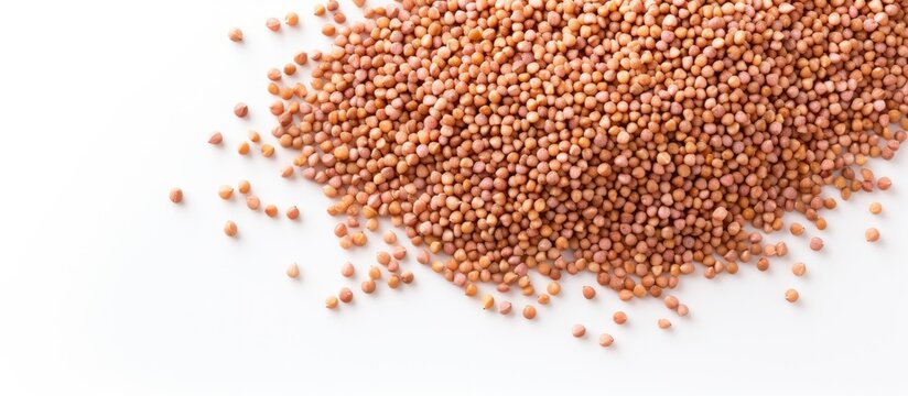 A bunch of healthy dried buckwheat grains on a white background with ample copy space in the image
