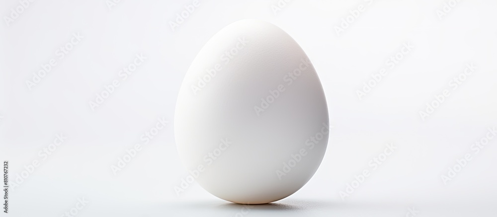 Poster a white egg with shadow isolated on a white background in a close up copy space image