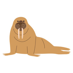 walrus hand drawing illustration on white background