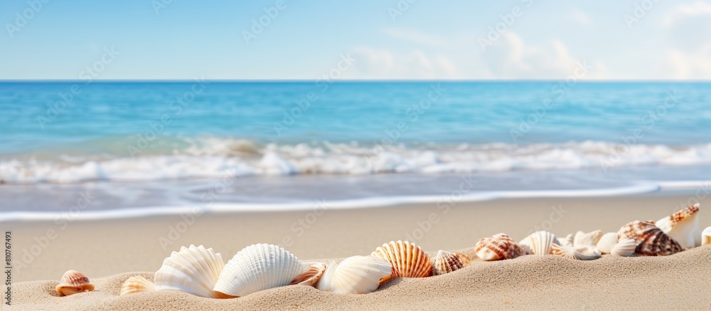 Poster Scenic summer beach background with seashells on sand providing copy space for text in the image