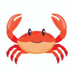crab hand drawing illustration on white background