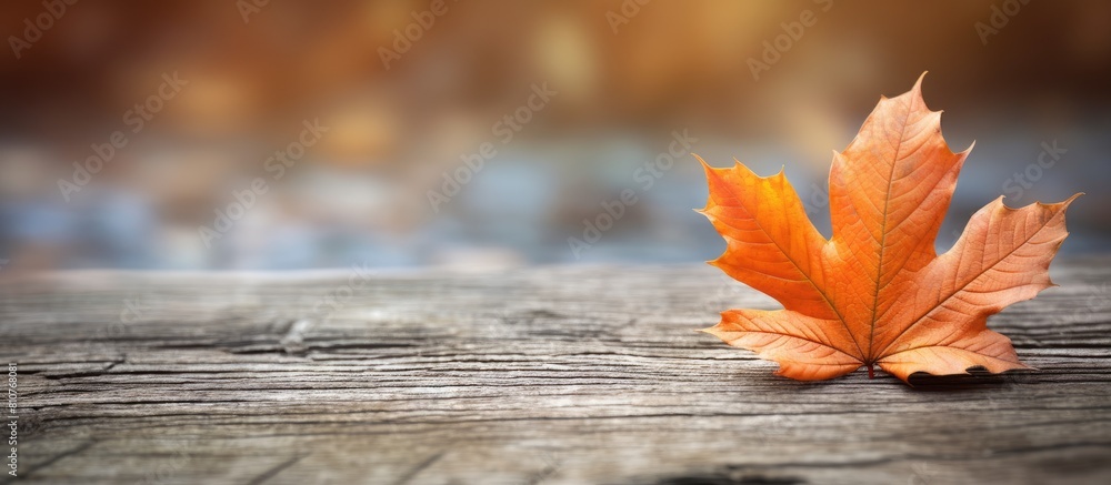 Poster autumn leaf placed on a wooden surface creating a visually pleasing composition with empty space for