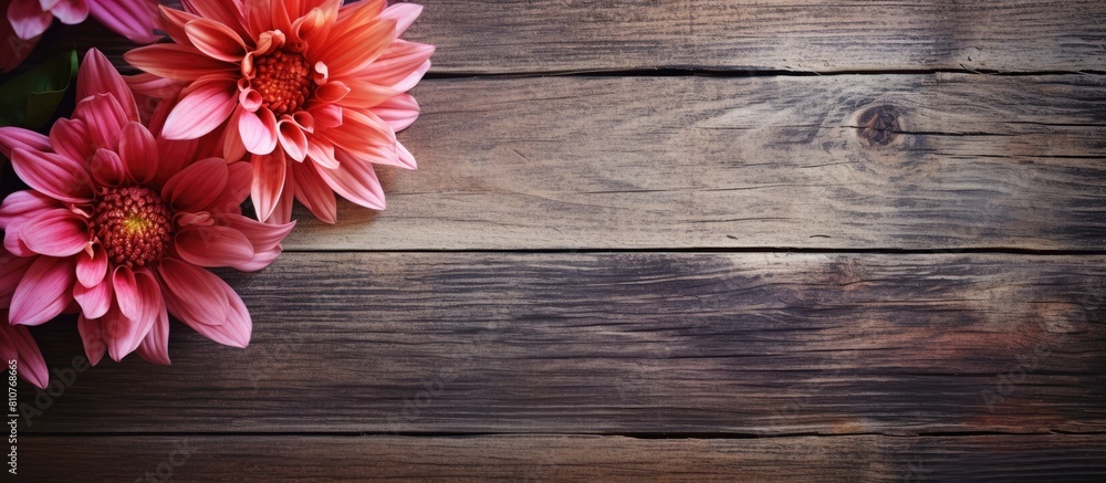 Poster Flower displayed against a rustic wooden backdrop with plenty of empty space for text or graphics in the image. Creative banner. Copyspace image