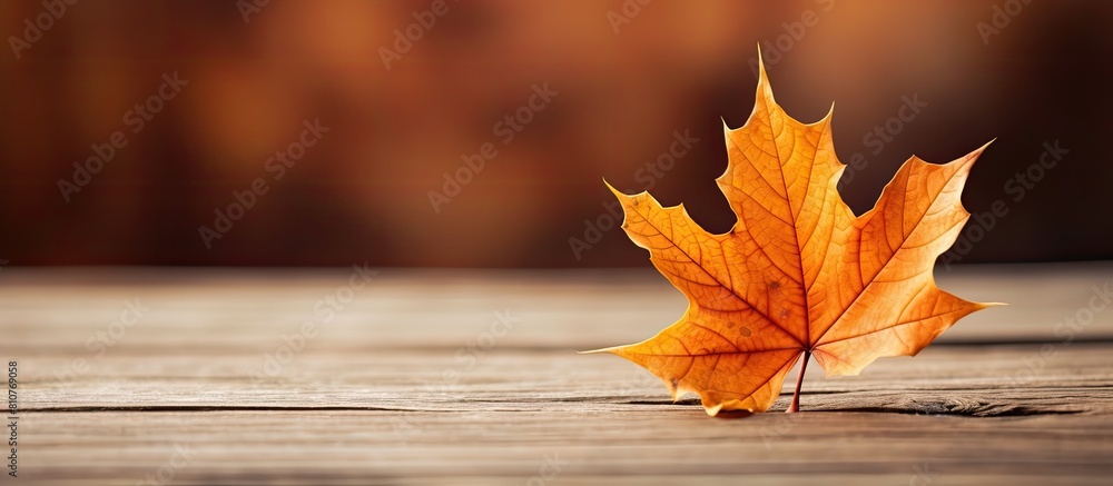 Poster autumn leaf placed on a wooden surface creating a visually pleasing composition with empty space for
