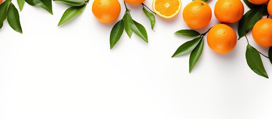 Copy space image of an isolated orange or tangerine with vibrant leaves on a white background perfectly suited for your text placement Viewed from the top presented in a pleasing flat lay style