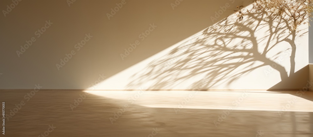 Leinwandbilder a tree s shadow casting across the floor depicting the concept of a tree providing shade. creative b