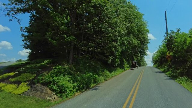 A serene drive along a leafy rural road under clear, blue skies, while passing an Amish Horse and Buggy