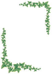 アイビーのフレーム_タテ_白01