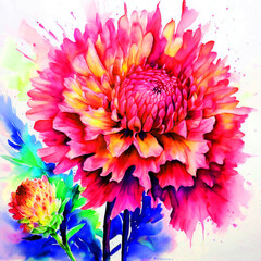 Floral colourful bloomy vibrant watercolour oil painting splash colour of celosia flowers
