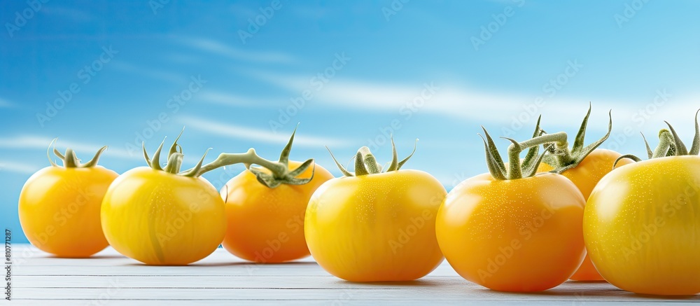 Poster close up of ripe yellow tomatoes on a light blue wooden table with copy space image available for te