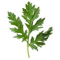 Green Wormwood Leaf, Generative AI