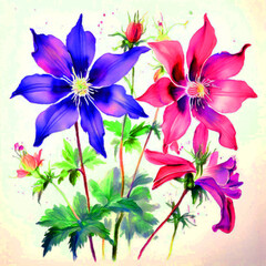 Floral colourful bloomy vibrant watercolour oil painting splash colour of columbine flowers
