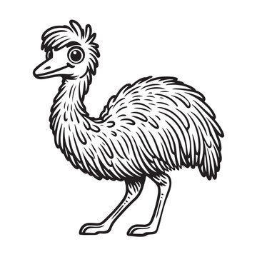 recommend clip art: Line art of Common Emu bird cartoon vector