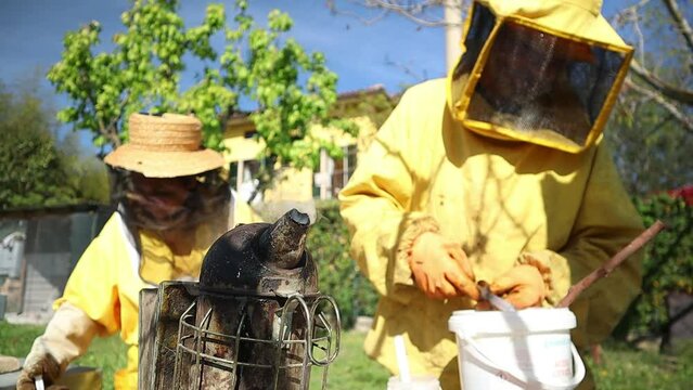An elderly beekeeper couple using bee smoker and oxalic acid syringe in the bee hive
