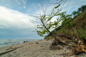 Landscape of the Baltic sea and beach.	