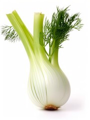 AI generated illustration of a Fennel isolated on a white background