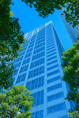 Obraz premium オフィスビル 緑の木