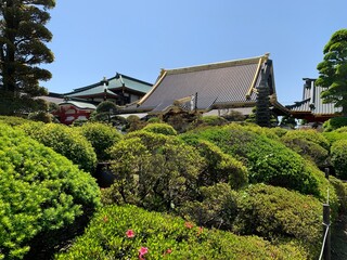 佐野厄よけ大師内の景色