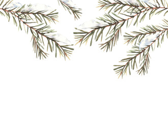 Fototapeta premium Snow on a branch with needles banner. Spruce, pine or cedar trees evergreen snowy branch. Botanical hand drawn illustration for Christmas greeting card template. Isolated clipart white background.