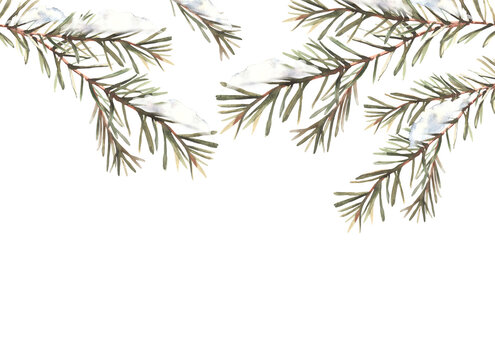 Snow on a branch with needles banner. Spruce, pine or cedar trees evergreen snowy branch. Botanical hand drawn illustration for Christmas greeting card template. Isolated clipart white background.