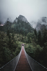 Suspension bridge over misty green mountain forest
