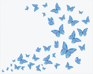decorative blue butterfly flowers of retro vintage style butterflies. Vector illustration design for fashion, tee, t shirt, print, poster, graphic, background  butterfly flock of butterfly