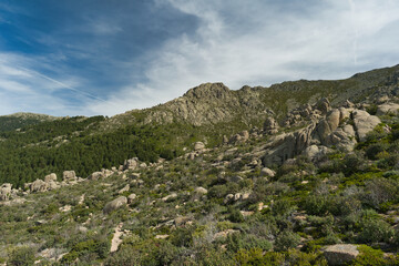 landscape, view, mountains, spring, nature, plants, spain, green