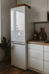 Scandinavian minimalist kitchen with daylight. White furniture, refrigerator, stove with utensils, plants.