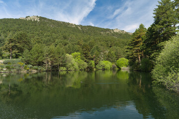 Obraz premium landscape, view, mountains, spring, nature, plants, spain, green