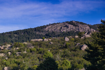landscape, view, mountains, spring, nature, plants, spain, green