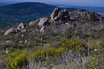 landscape, view, mountains, spring, nature, plants, spain, green
