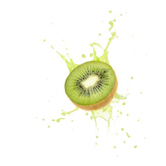 Fresh ripe kiwi green fruit slice falling flying in splashing juice with drops isolated on white background. Flying fruits.