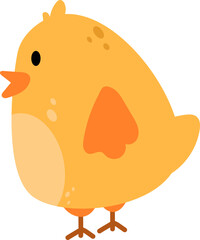 chicks illustration
