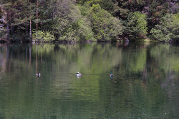 landscape, view, mountains, spring, nature, plants, spain, green