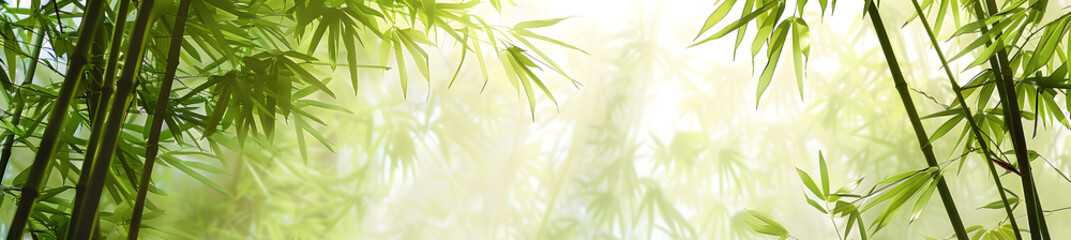 green bamboo leaf background