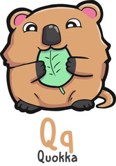 Alphabet shaped quokka animals cartoon vector
